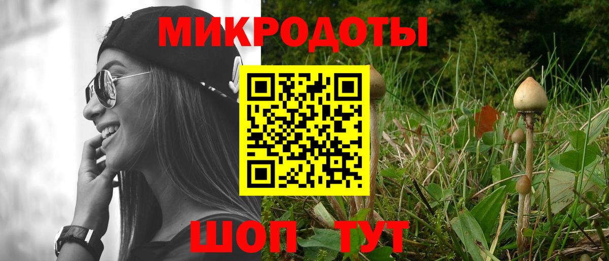 Галлюциногенные грибы Cubensis Калуга